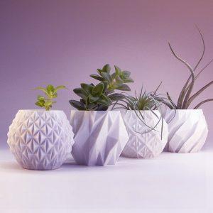 vases and plants on countertop