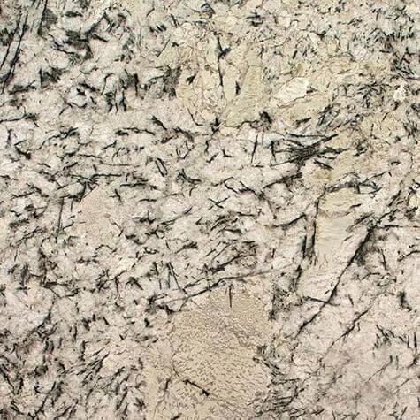 Textured dry mud with cracks and twig imprints.
