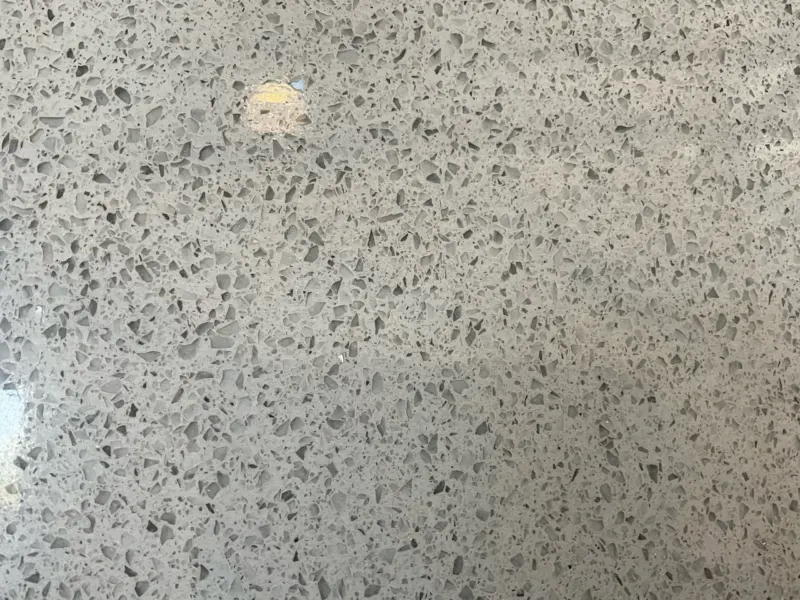 Gray terrazzo floor with spotted pattern