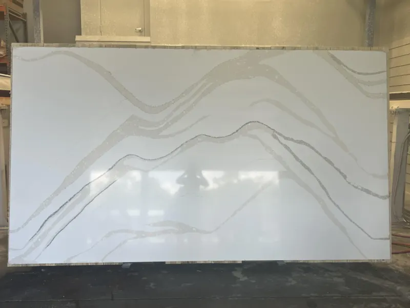 Polished marble slab with gray veining pattern.