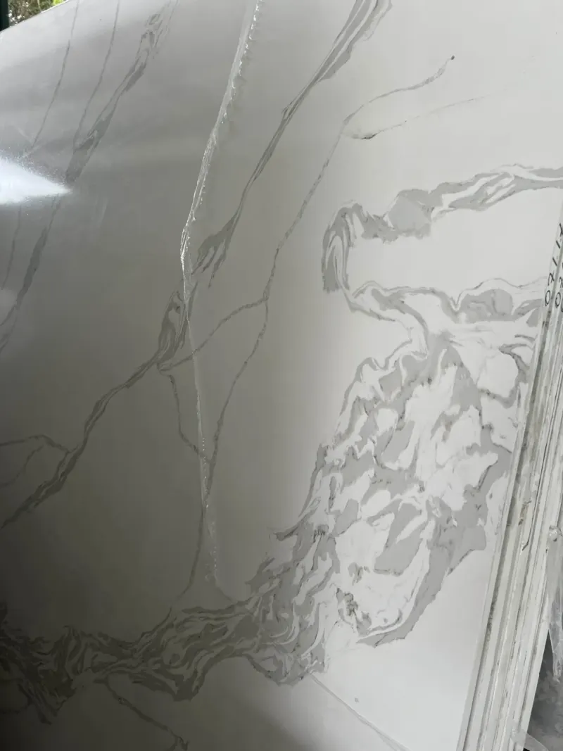 White marble slab with gray veining pattern.
