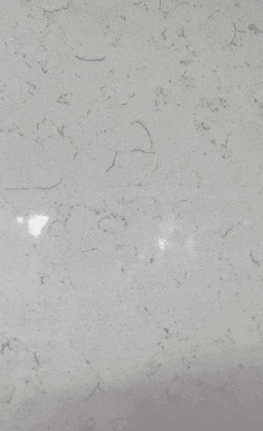 Marble countertop with light gray veining pattern.